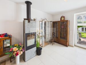 Kaminofen Wohnzimmer