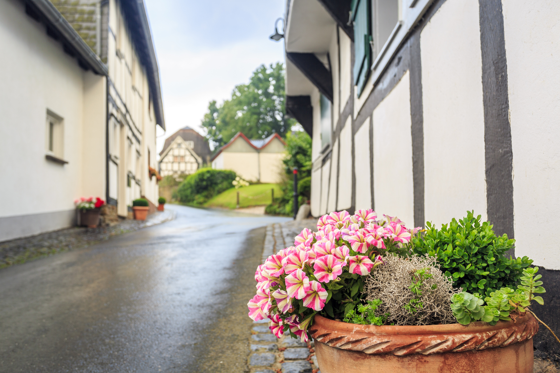 Immobilienmakler Bonn — HOLZLAR Immobilien