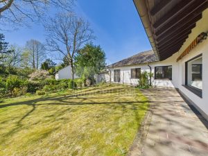 Blick in den Garten